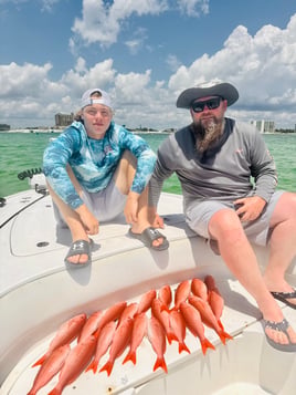 4-8 Hour Trip – Fish/Snorkel/Swim 