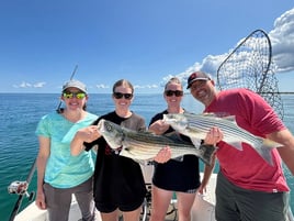 3-8 Hours Sportfishing Trip