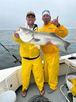 3-8 Hours Sportfishing Trip