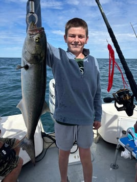 3-8 Hours Sportfishing Trip