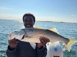 3-8 Hours Sportfishing Trip