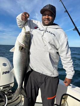 3-8 Hours Sportfishing Trip