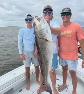 Inshore Fishing Trip - 26’ Parker