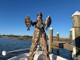 Inshore Quick Trip