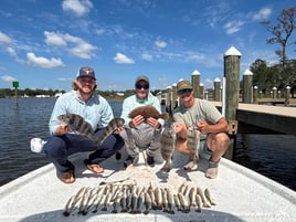 Inshore Quick Trip