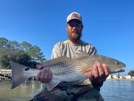 Inshore Quick Trip