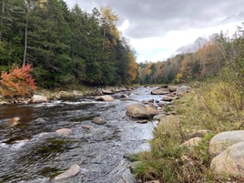 Northern NH Walk & Wade 