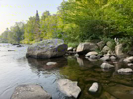 Northern NH Walk & Wade 