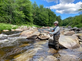 Northern NH Walk & Wade 