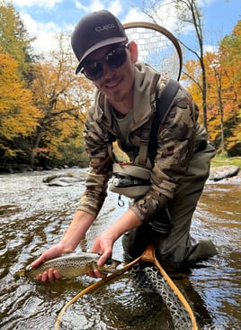 Northern NH Walk & Wade