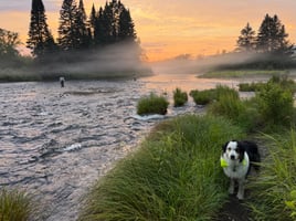 Northern NH Walk & Wade