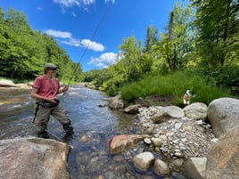 Northern NH Walk & Wade 