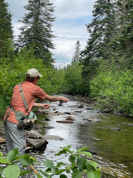 Northern NH Walk & Wade