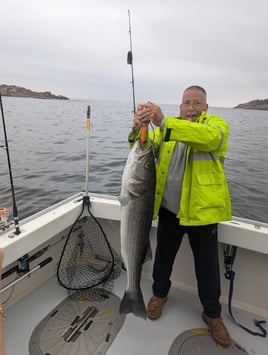 Bass & Bluefish Fishing Trip