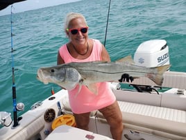 4 Hour Inshore Fishing