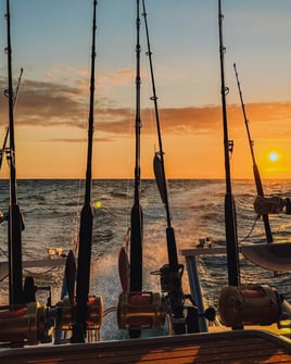Cape Town Tuna