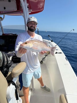 Deep Sea Offshore Fishing