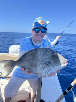 Deep Sea Offshore Fishing