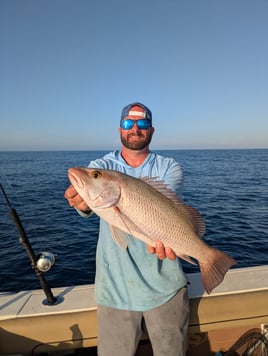 Deep Sea Offshore Fishing