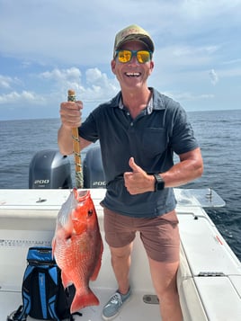 Destin Bottom Fishing And Trolling