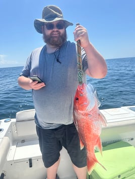 Destin Bottom Fishing And Trolling