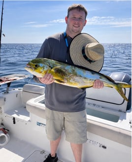 Destin Bottom Fishing And Trolling