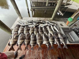 Inshore Redfish And Trout