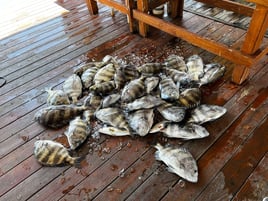 Inshore Redfish And Trout