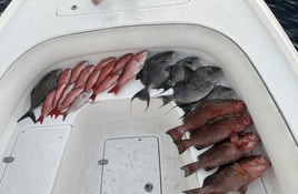 4-10 Hour Fishing Trip