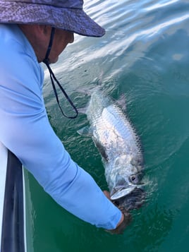 Inshore Daytona Bch W/ Native Capt