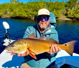 Inshore 