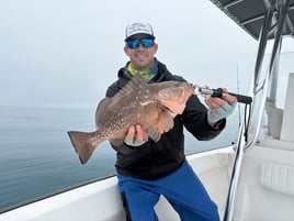 Nearshore Reef Baitfishing