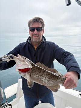 Nearshore Reef Baitfishing