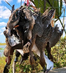 Coastal Prairie Waterfowl Hunt🌾🦆