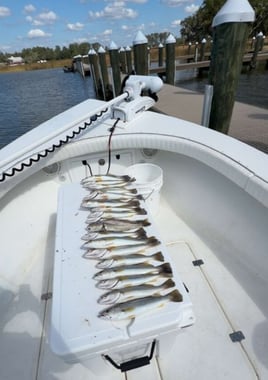 3-4 Hour Trip – Inshore/Nearshore