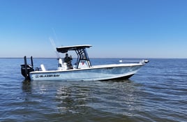 3-4 Hour Trip – Inshore/Nearshore