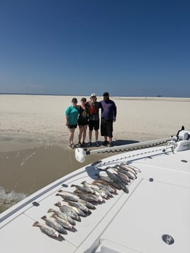 3-4 Hour Trip – Inshore/Nearshore