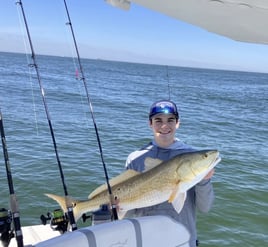 3-4 Hour Trip – Inshore/Nearshore