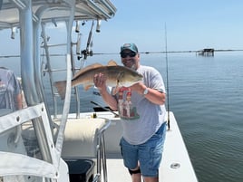 Half Day Inshore 