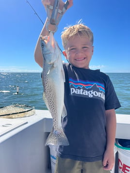 Half Day Inshore 