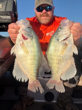 North Mississippi Crappie