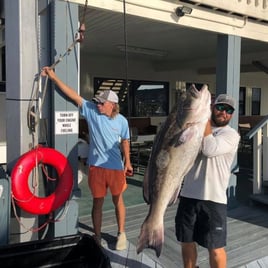 14 Hour Trip – Trophy Fishing