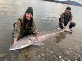 Fraser River Sturgeon 