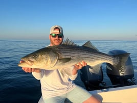 Fly Fishing / Light Tackle 