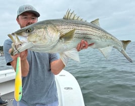 Fly Fishing / Light Tackle 