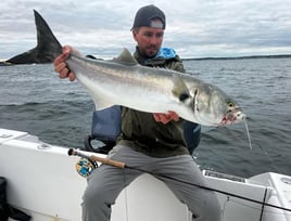 Fly Fishing / Light Tackle 