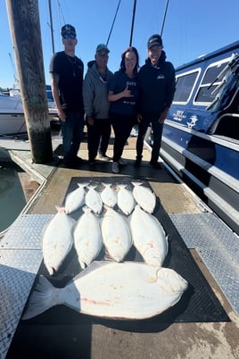 Lets Go Halibut Fishing 
