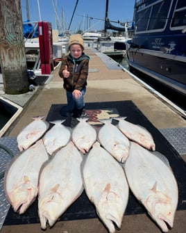 Lets Go Halibut Fishing 