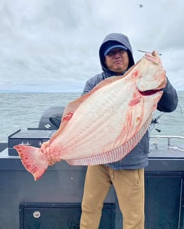 Lets Go Halibut Fishing ! 