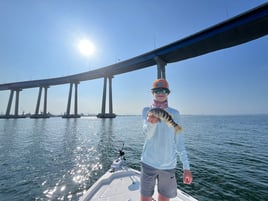 San Diego Bay Fly Fishing